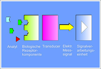 Biosensor